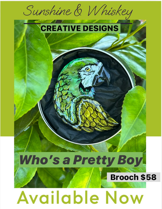 Who’s a pretty boy - new release 24