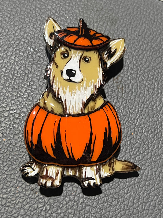 Pumpkin Paws - Clyde in costume new