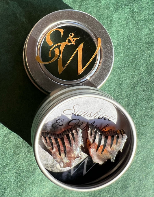 Tasman studs - earrings