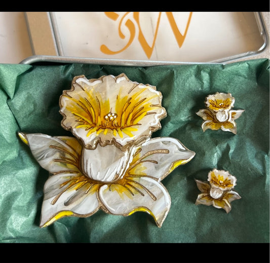 Daffodil- Set - snow frost