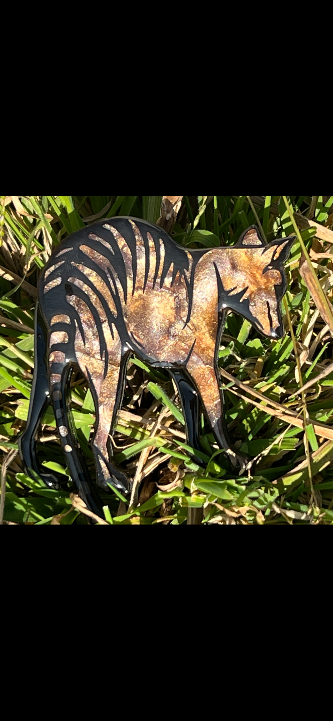 Tasman - Thylacine - brooch